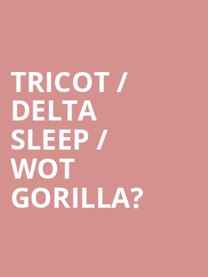Tricot / Delta Sleep / Wot Gorilla? at Bush Hall